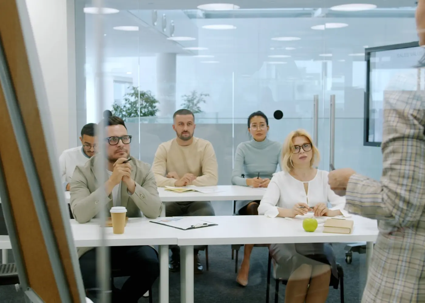 Professional presenting visual information to colleagues